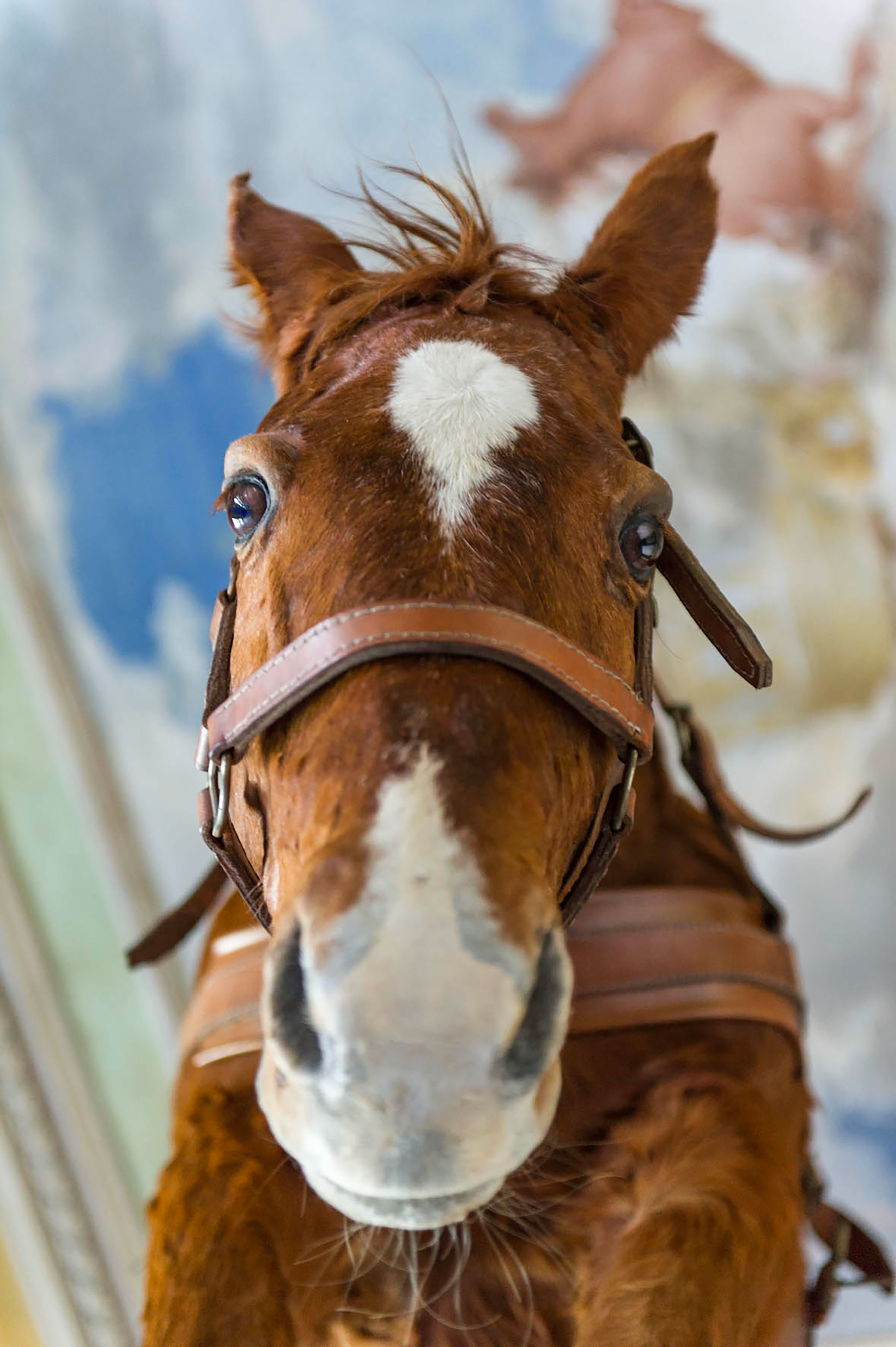 Maurizio Cattelan, Novecento, 1997